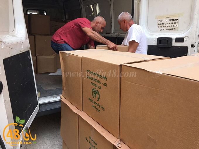 torold yaffa (11).jpg